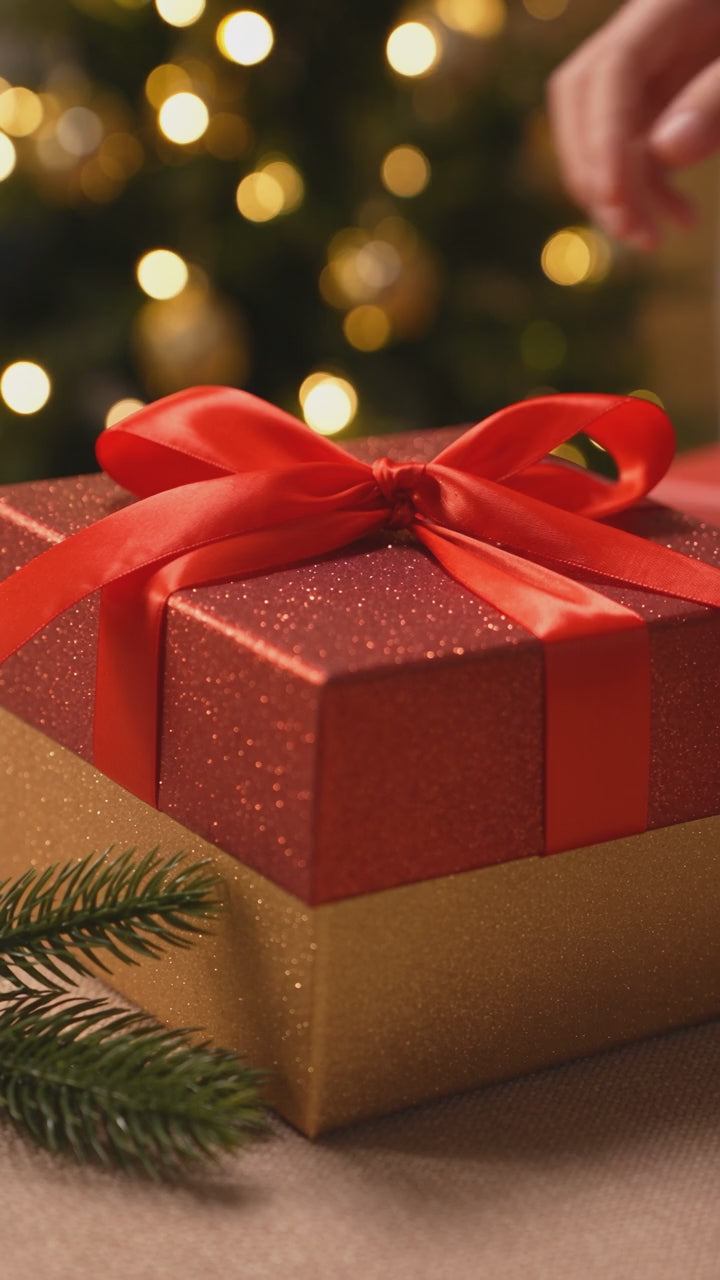 Le cadeau de Noël